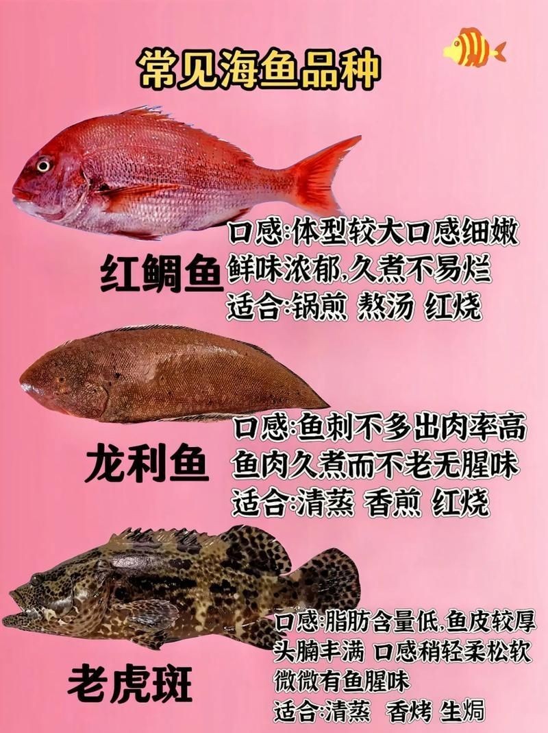 海和尚魚圖片