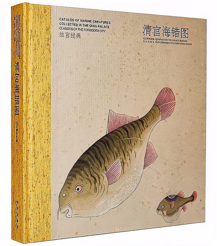 海和尚魚圖片