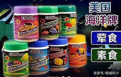 海水魚糧十大排行榜 龍魚論壇 第3張 海水魚糧十大排行榜 海水魚糧十大排行榜 龍魚論壇 第3張
