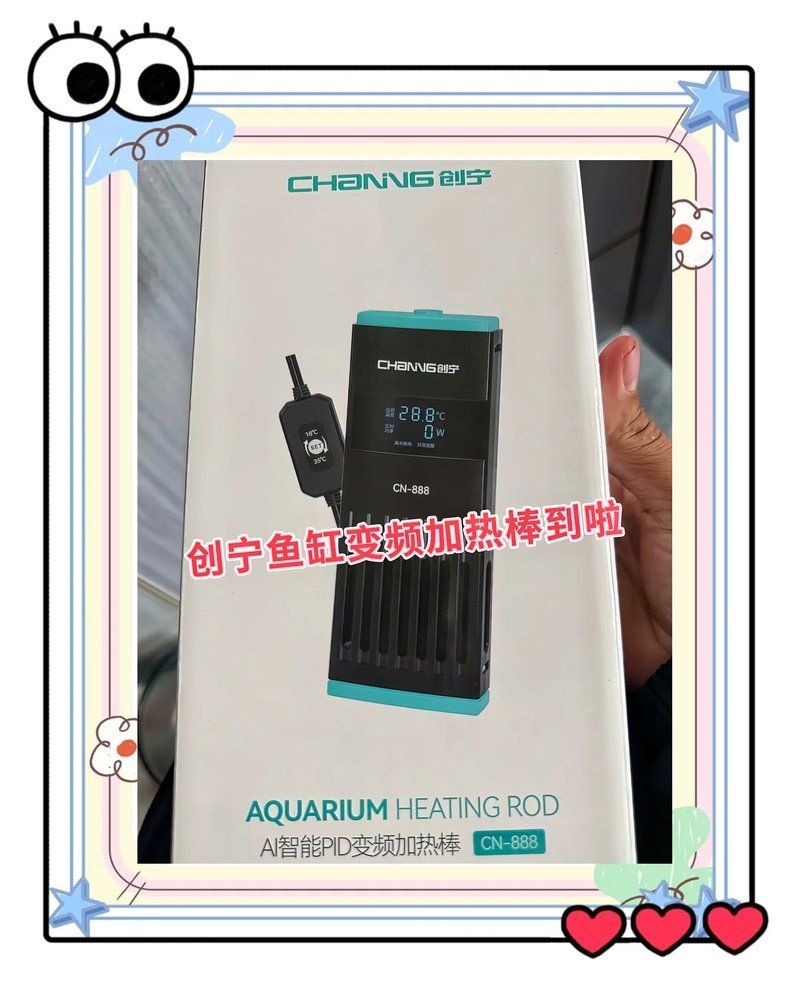 金龍魚和祥龍魚場(chǎng)有何關(guān)聯(lián)？（祥龍魚場(chǎng)與金龍魚場(chǎng)的關(guān)系）