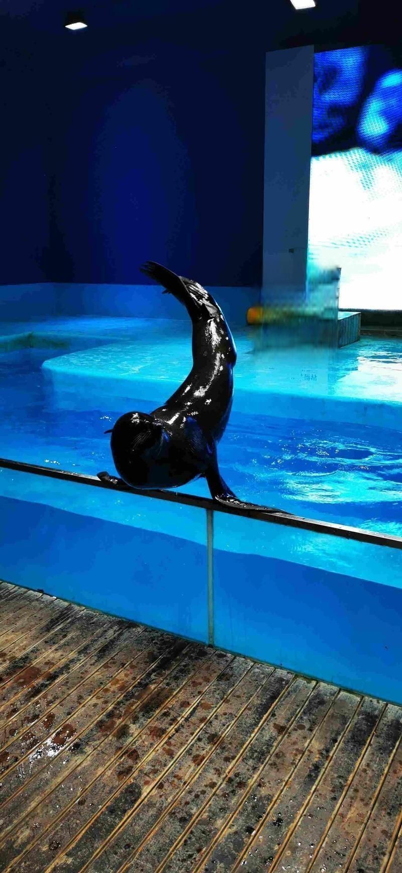 蘭州水族店