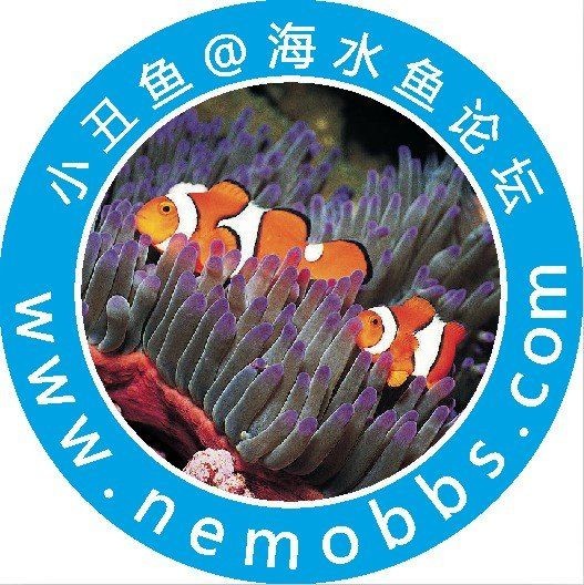 海水魚(yú)論壇