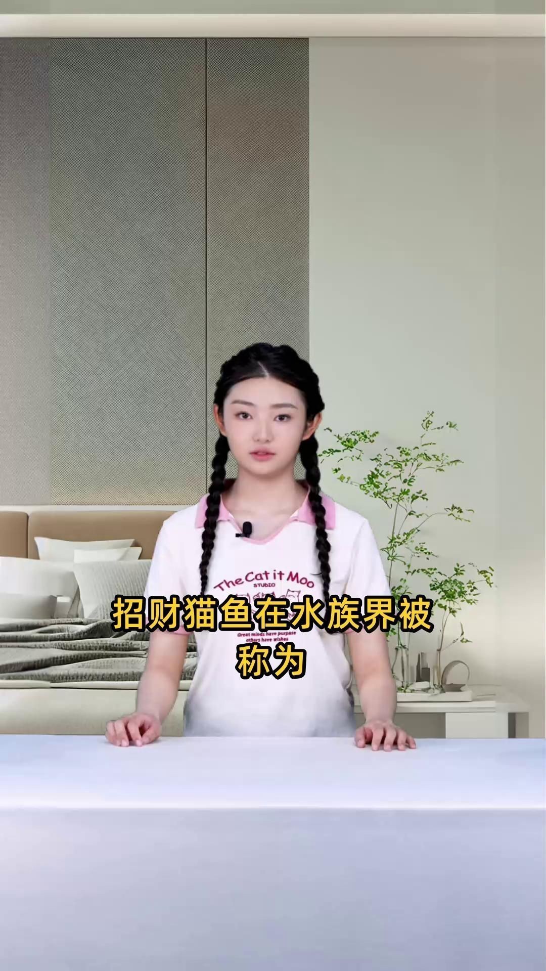 招財貓魚為什么不建議養