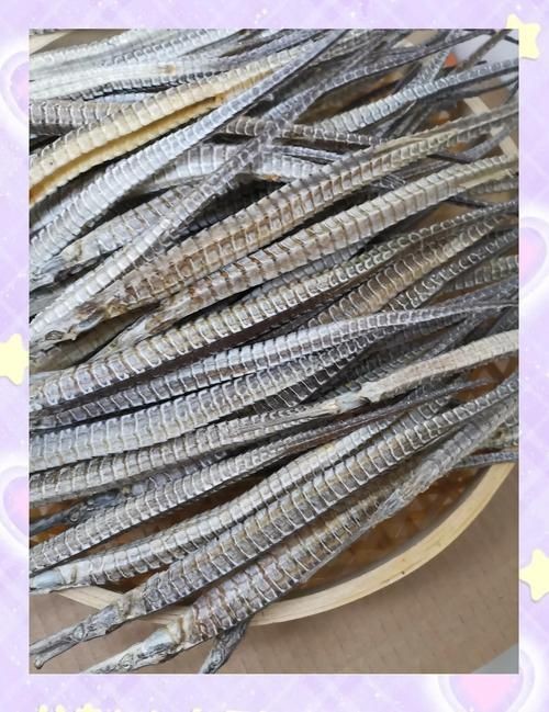 真正海龍的圖片