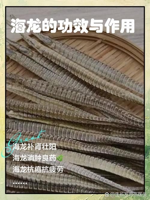 真正海龍的圖片 真正海龍的圖片 龍魚百科 第4張