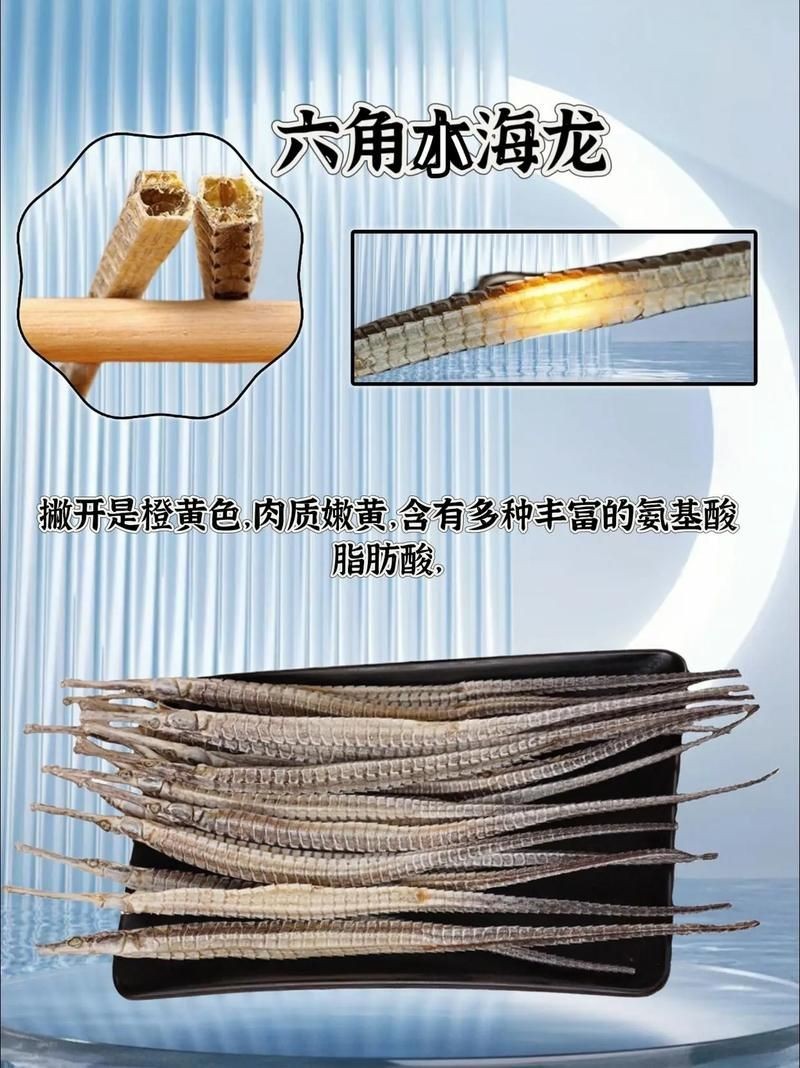 真正海龍的圖片 真正海龍的圖片 龍魚百科 第10張