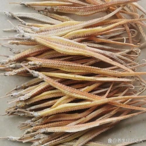 真正海龍的圖片 真正海龍的圖片 龍魚百科 第16張