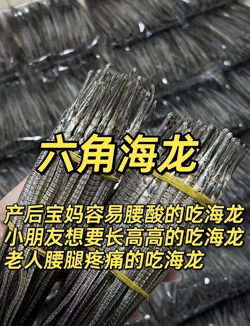 真正海龍的圖片 真正海龍的圖片 龍魚百科 第25張