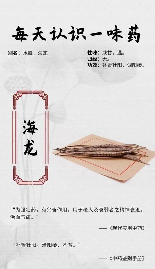 真正海龍的圖片 真正海龍的圖片 龍魚百科 第17張