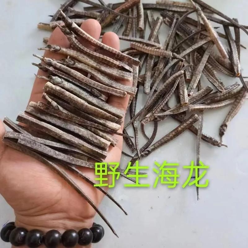 真正海龍的圖片 真正海龍的圖片 龍魚百科 第18張