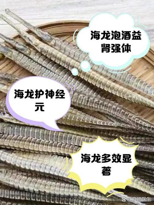 真正海龍的圖片 真正海龍的圖片 龍魚百科 第13張