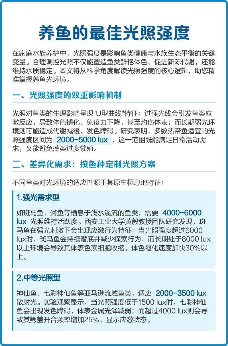 吉羅魚需要強光還是弱光
