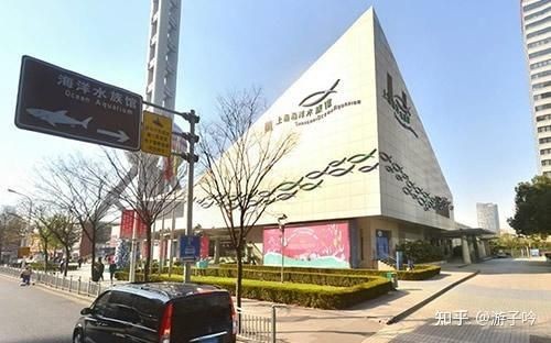 海洋水族館游玩攻略 龍魚論壇 第5張 海洋水族館游玩攻略 海洋水族館游玩攻略 龍魚論壇 第5張