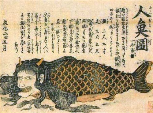海和尚魚俗稱叫什么魚 海和尚魚俗稱叫什么魚 龍魚論壇 第2張