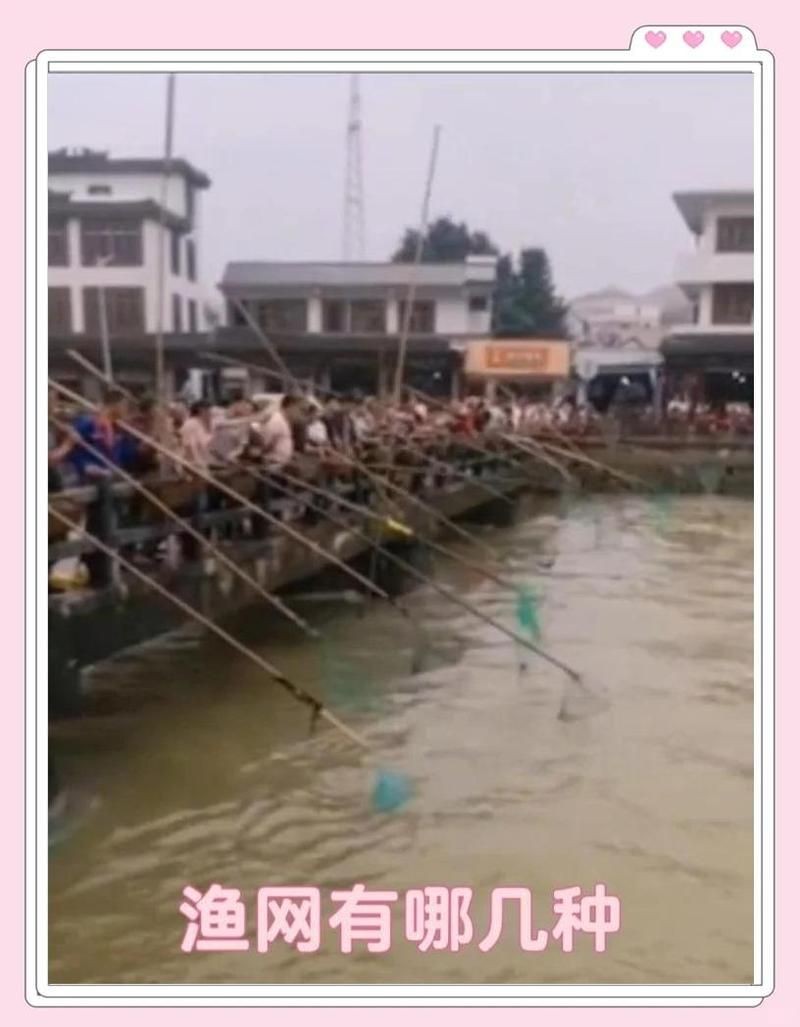 各種漁網大全 全國水族館企業名錄 第6張 各種漁網大全 各種漁網大全 全國水族館企業名錄 第6張
