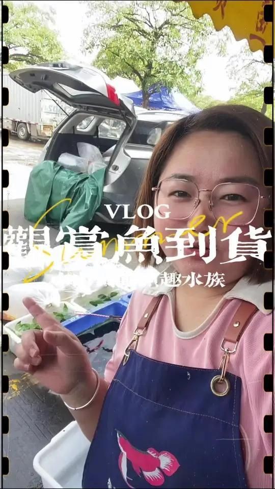 中山水族批發(fā)市場(chǎng) 中山水族批發(fā)市場(chǎng) 全國(guó)水族館企業(yè)名錄 第9張