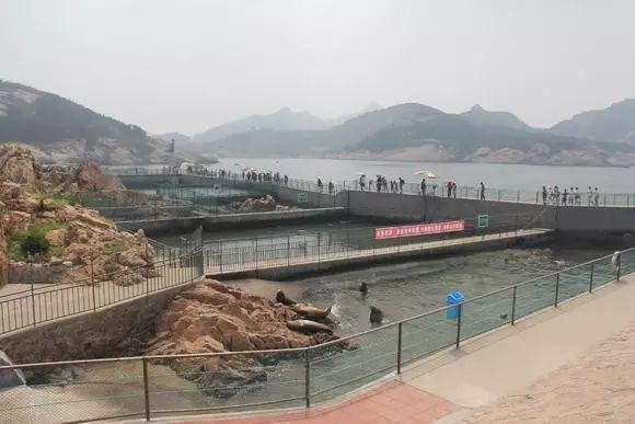 海象吃人嗎