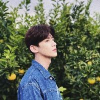 和尚魚屬于什么檔次