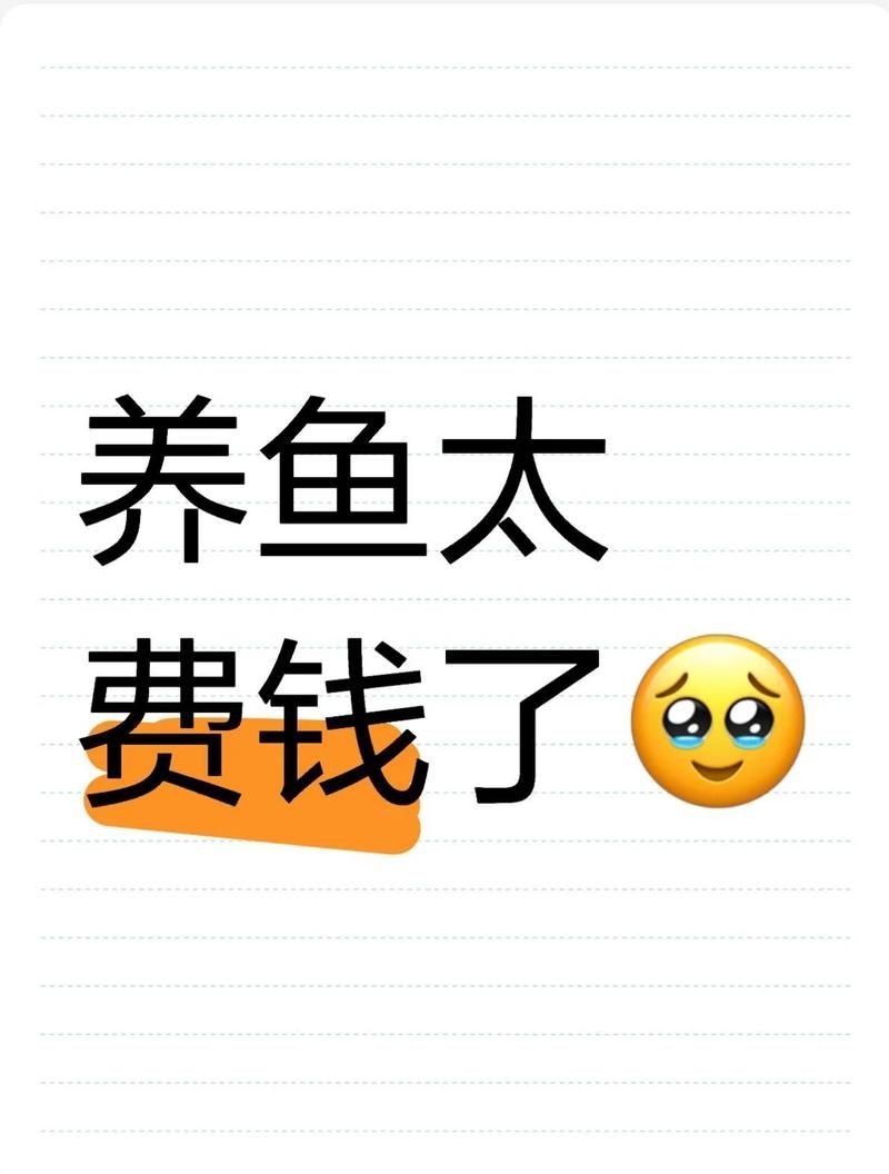 京東魚缸大全及價格