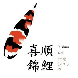 極品白寫錦鯉的四種特征
