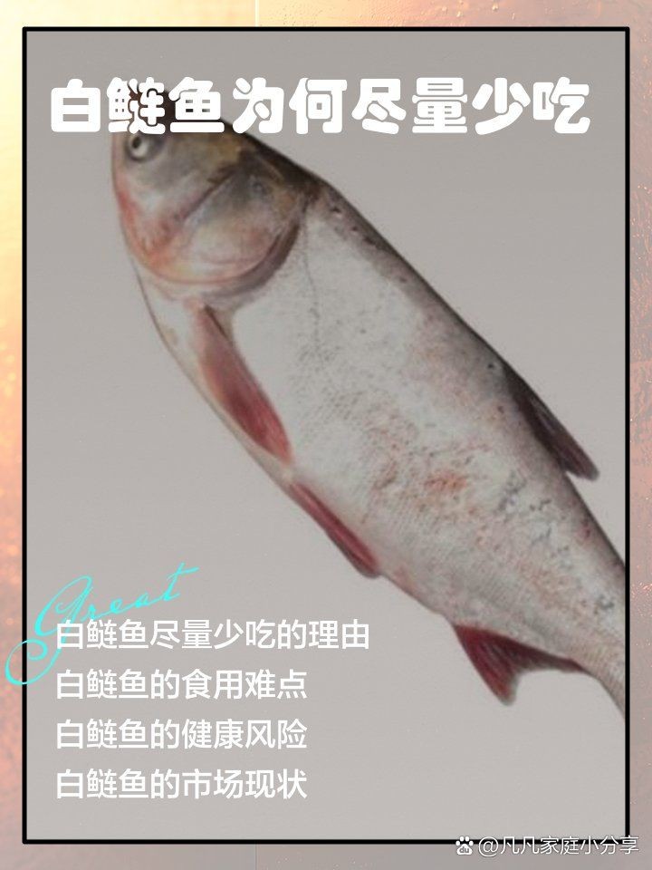 廣東鰱魚為何要少吃