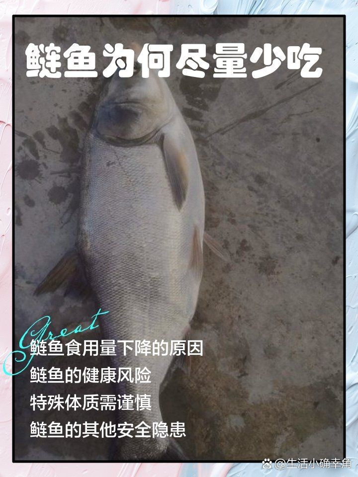 廣東鰱魚為何要少吃