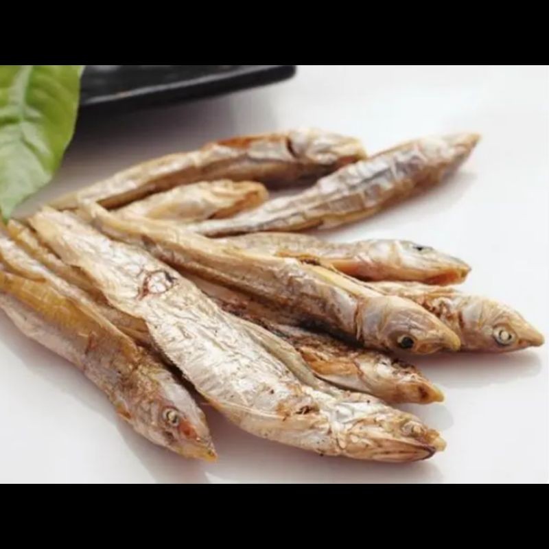 棍子魚是秋刀魚嗎