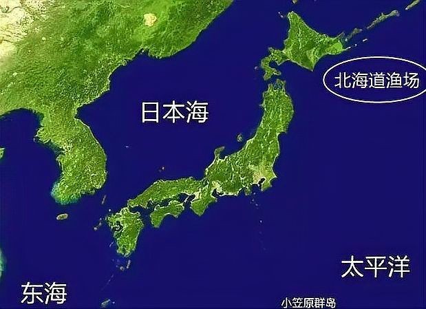 棍子魚是秋刀魚嗎
