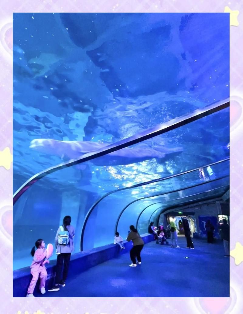 廣州海洋館能玩一天嗎
