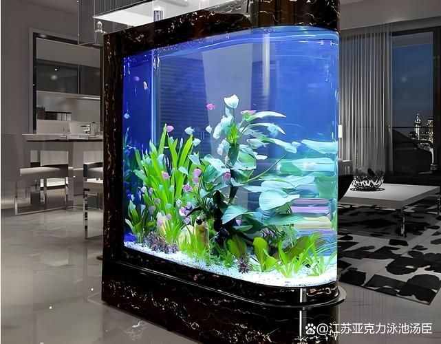 各種魚(yú)缸圖片