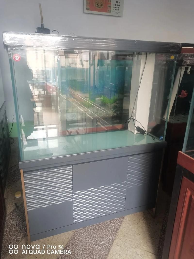 各種魚(yú)缸圖片