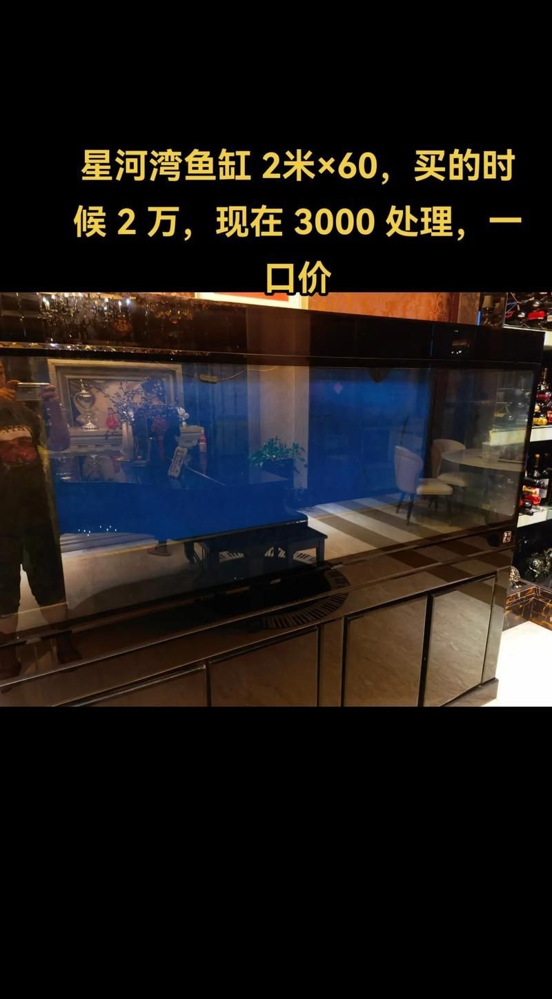各種魚(yú)缸圖片