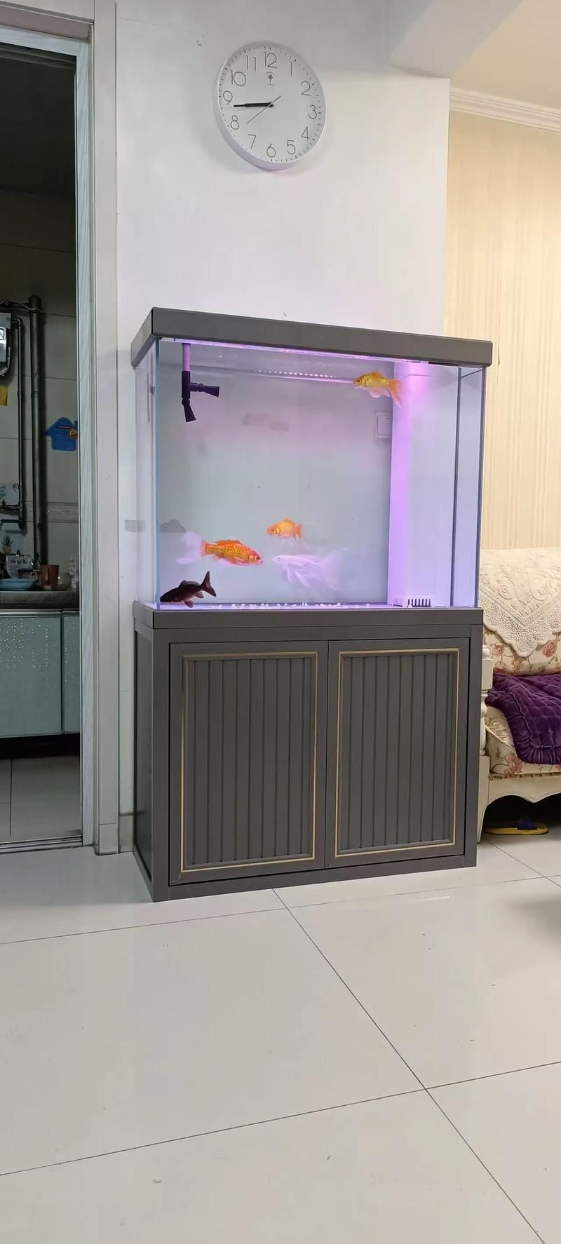 各種魚(yú)缸圖片
