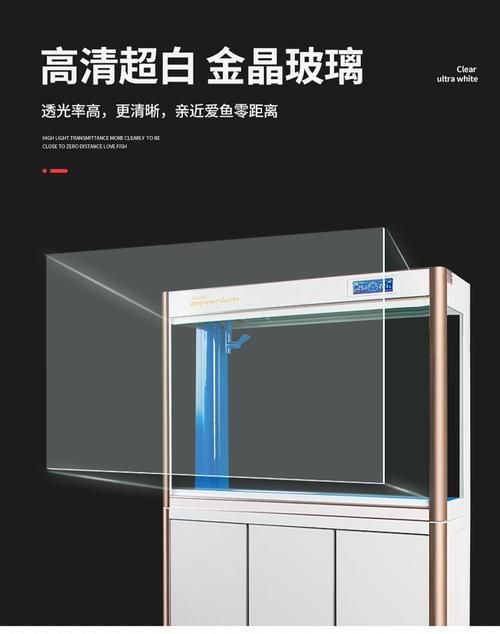 各種魚(yú)缸圖片