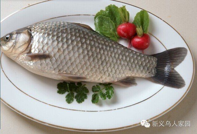 小魚肚子里有白色扁蟲子