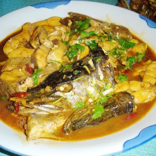 家常狗魚做法大全