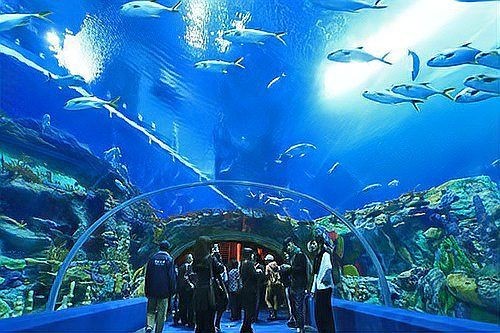 國家水族館名單查詢系統