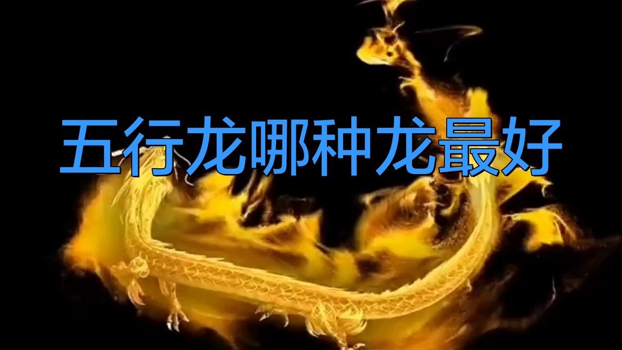 五行龍哪種龍最好