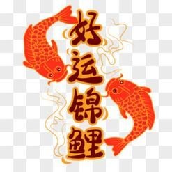 好運錦鯉圖片 好運錦鯉圖片 全國水族館企業名錄 第25張