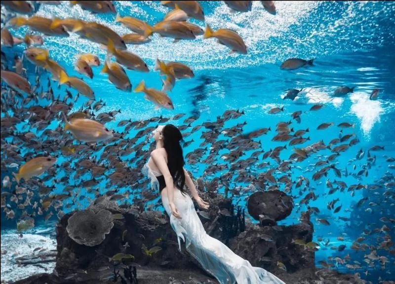 臺州水族館 臺州水族館 全國水族館企業名錄 第16張