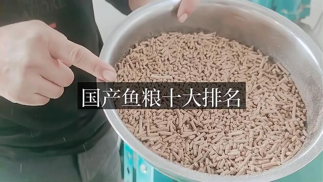 國產魚糧十大排名