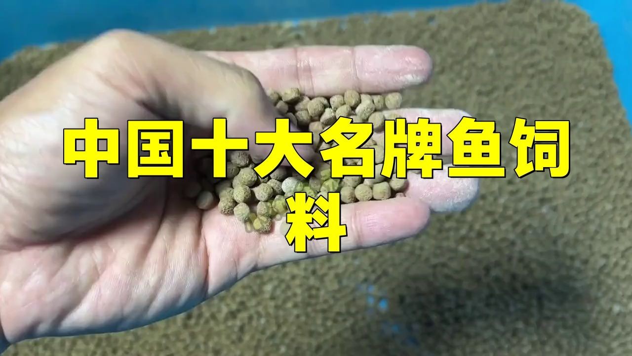 國產魚糧十大排名