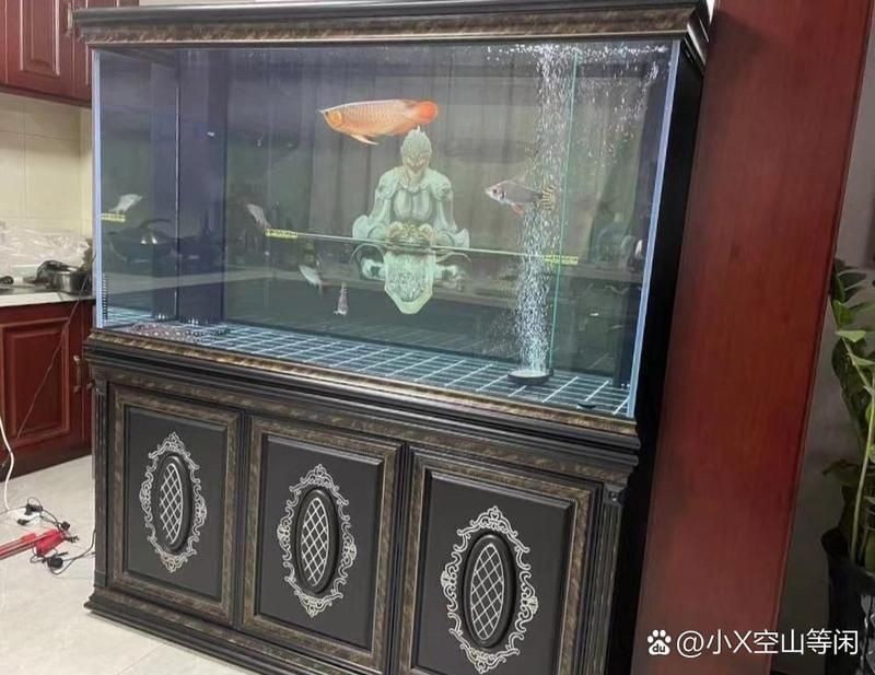 回收二手魚缸上門回收 回收二手魚缸上門回收 全國水族館企業名錄 第10張