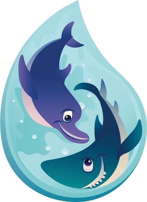 海豚和鯊魚圖片對比