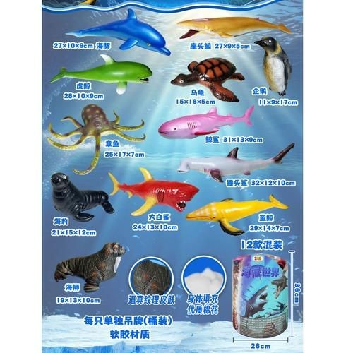 海豚和鯊魚圖片對比