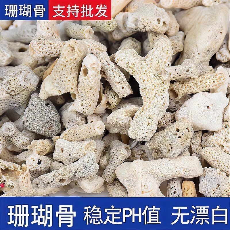 凈化水最狠的5種石頭 龍魚百科 第15張 凈化水最狠的5種石頭 凈化水最狠的5種石頭 龍魚百科 第15張