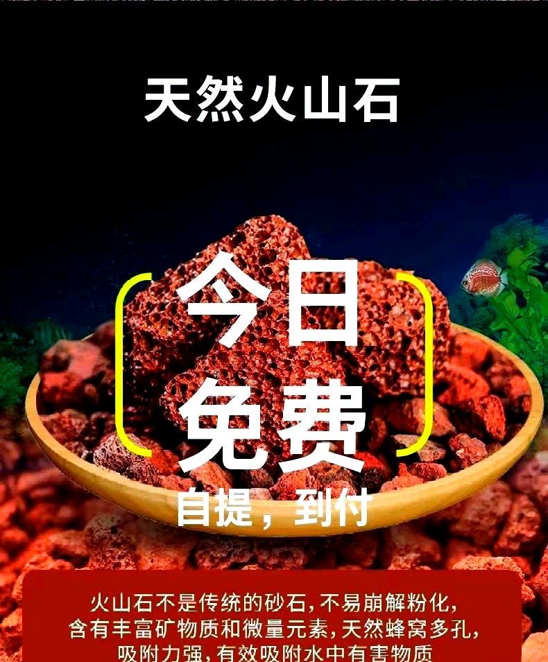 凈化水最狠的5種石頭 龍魚百科 第13張 凈化水最狠的5種石頭 凈化水最狠的5種石頭 龍魚百科 第13張