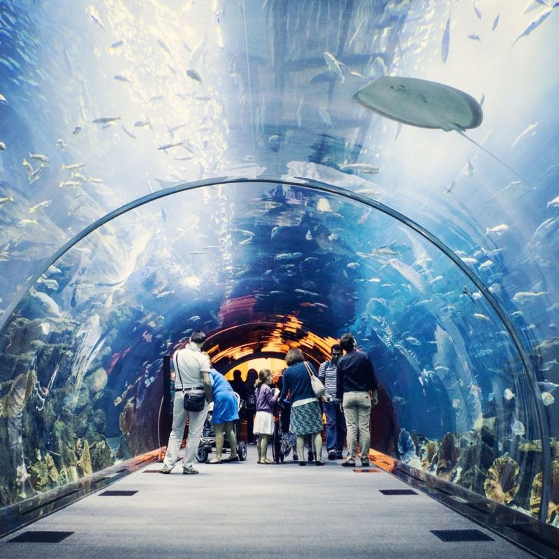 孝感水族館 孝感水族館 全國(guó)水族館企業(yè)名錄 第1張