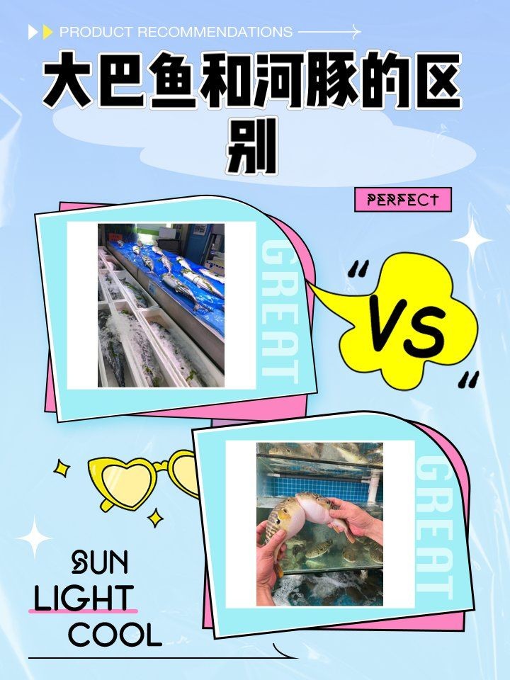 和河豚魚很像的一種魚