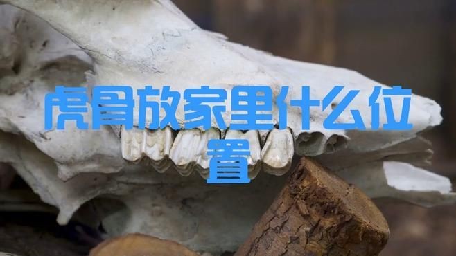 家里放一塊虎骨好嗎